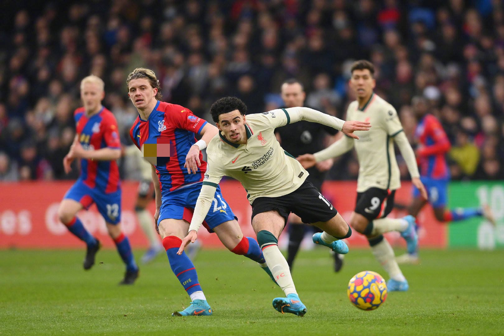 起为团队提 起为团队提