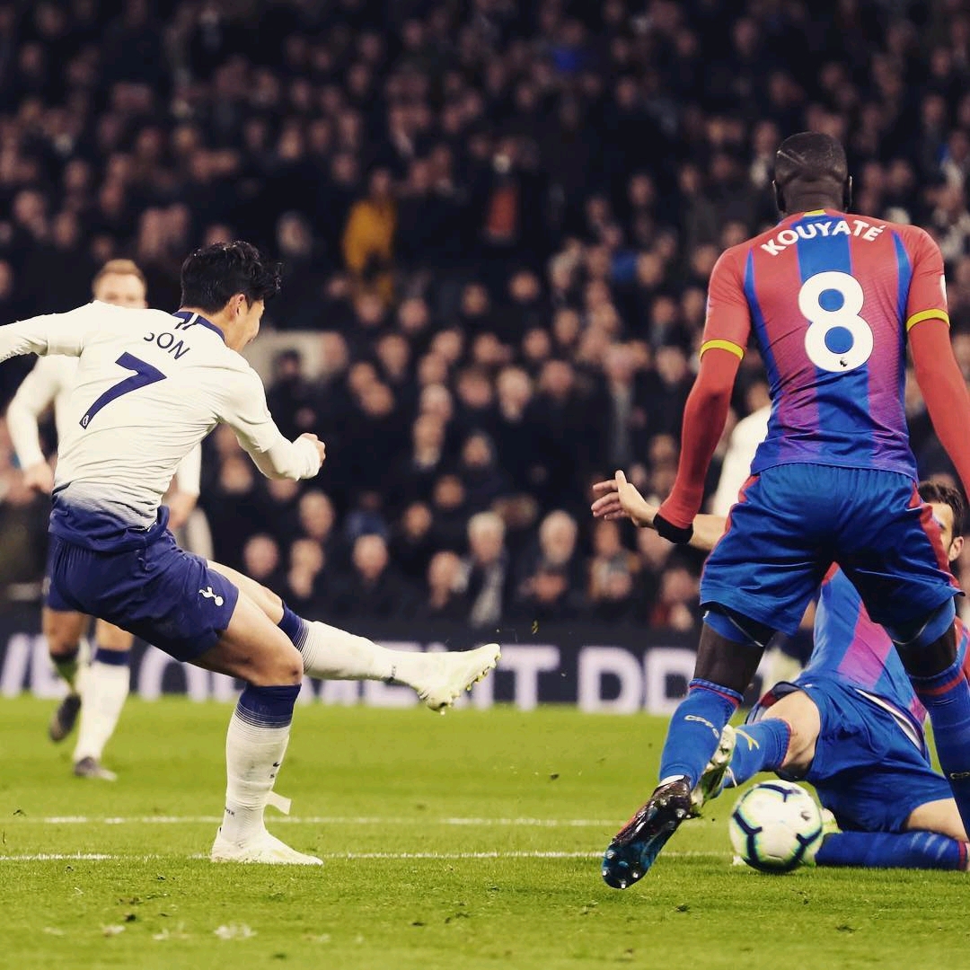 仅提升了自 仅提升了自